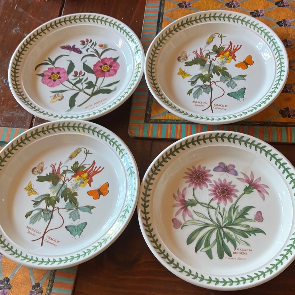 Botanic Gardens salad plates colorful and durable  set of 4. 8-1/2 diameter